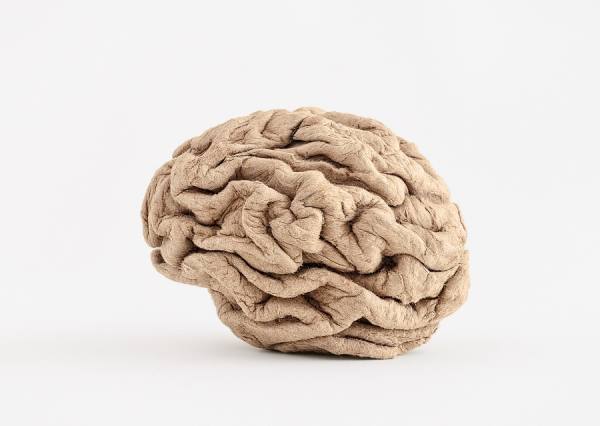 Photograph Jose Laino Cardboard Brain on One Eyeland